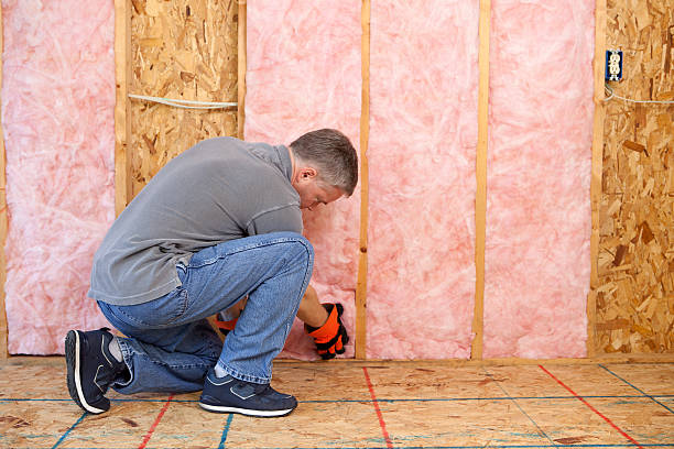 Best Cellulose Insulation in Miller, SD